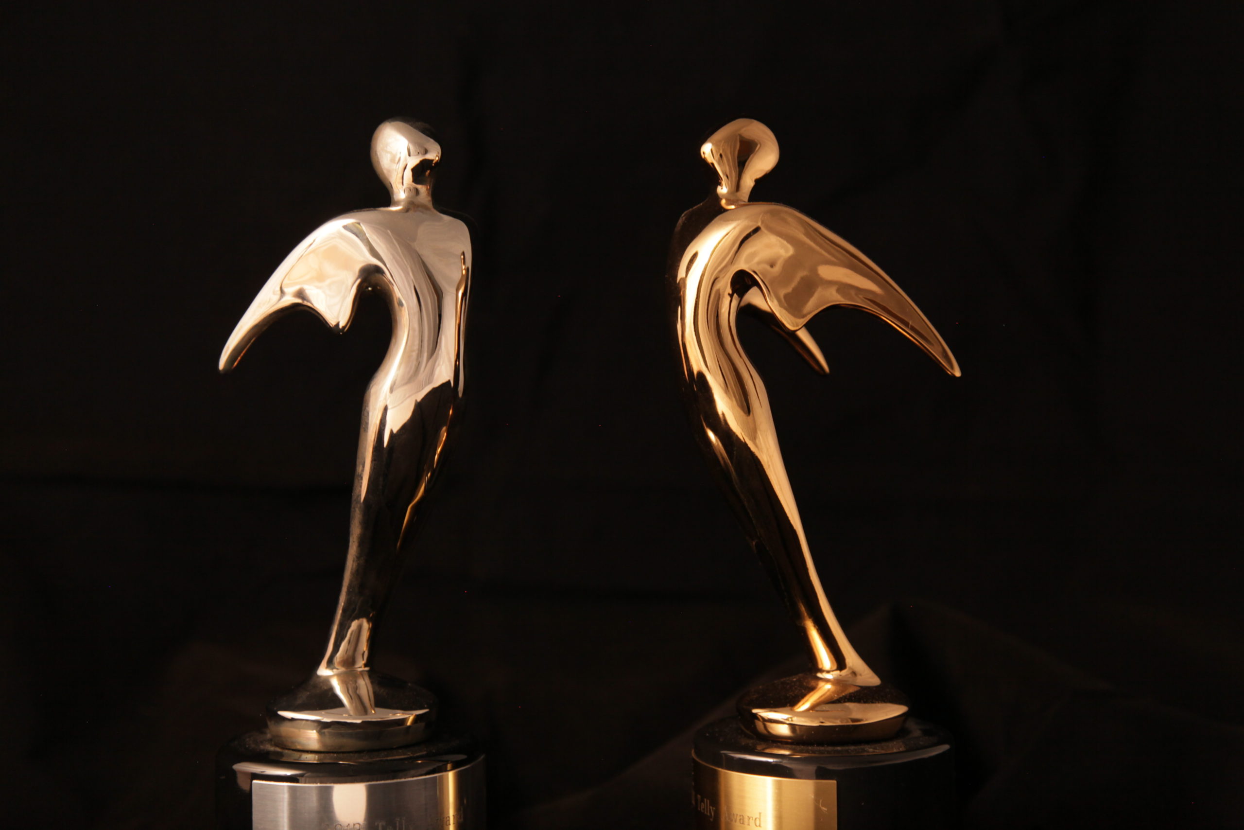 Telly Award